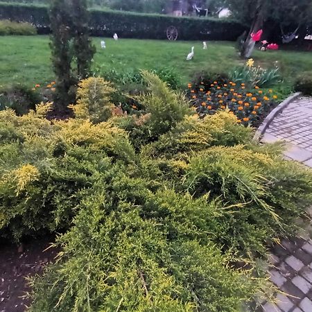Guesthouse Gostilitsa Екстериор снимка