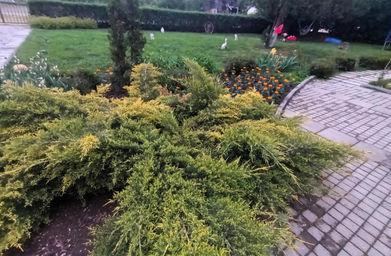 Guesthouse Gostilitsa Екстериор снимка