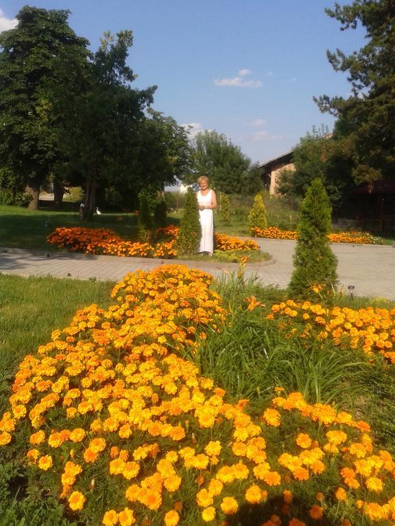 Guesthouse Gostilitsa Екстериор снимка